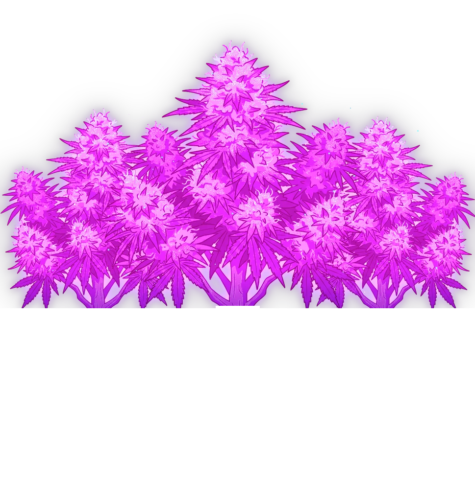 Exklusiv-Drops UV Glow