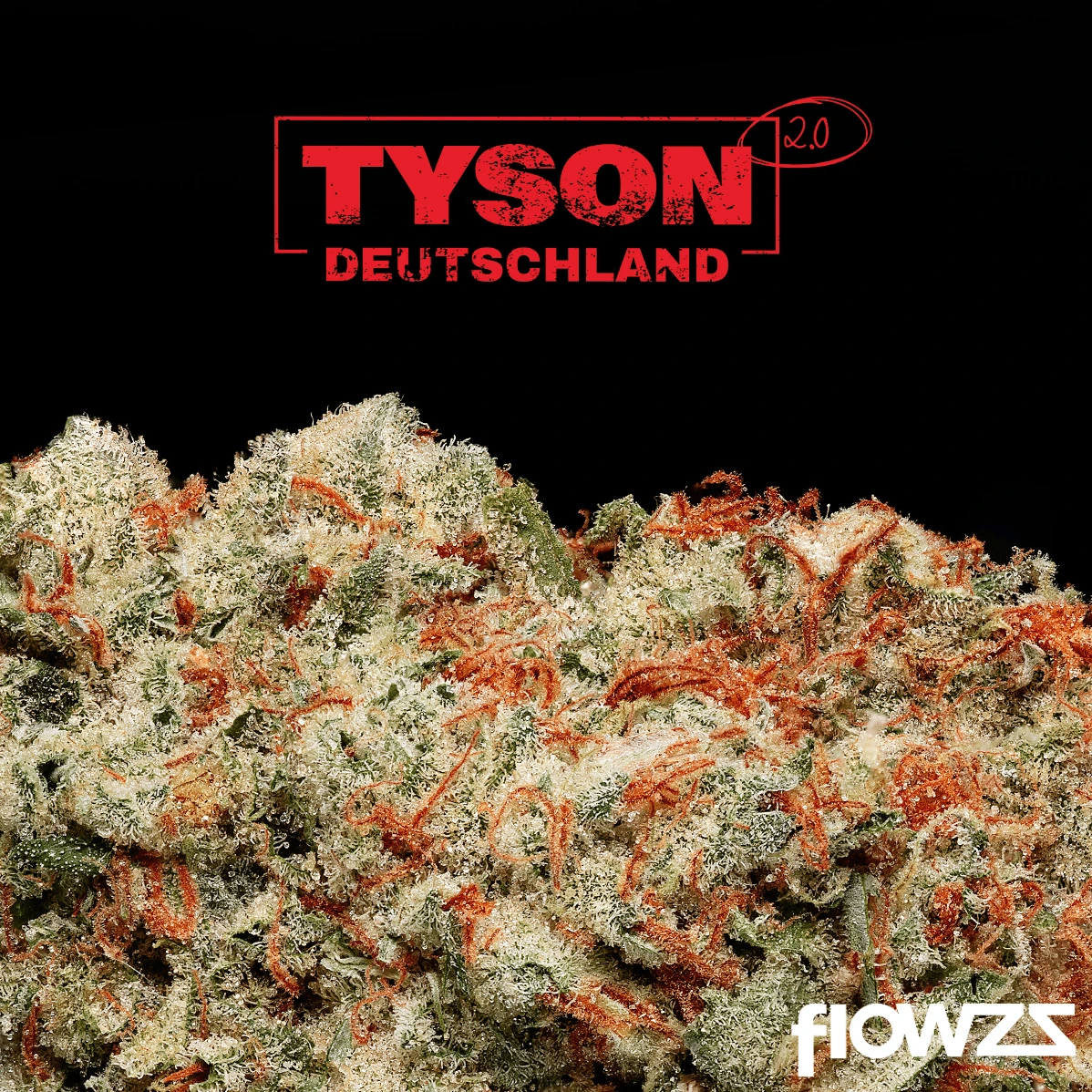 TYSON 2.0 28/1 Haymaker Haze