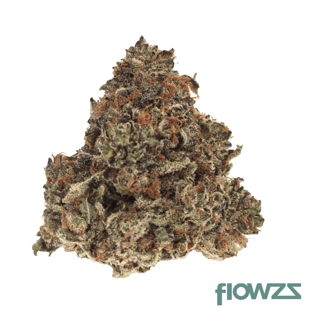 Nimbus easy 22/1 Gelato