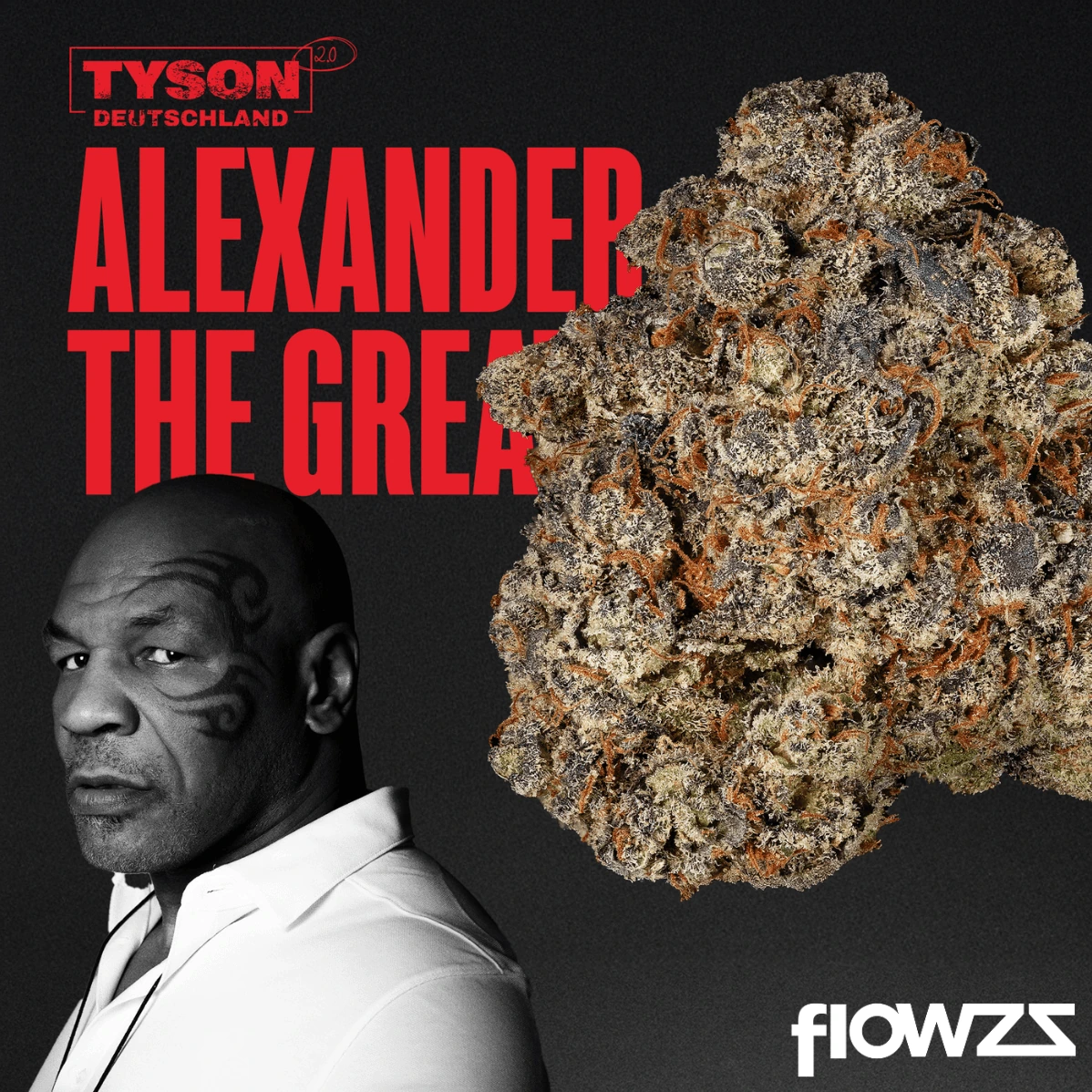 TYSON 2.0 30/1 Alexander The Great