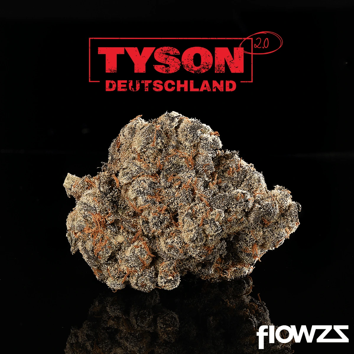 TYSON 2.0 26/1 Alexander The Great