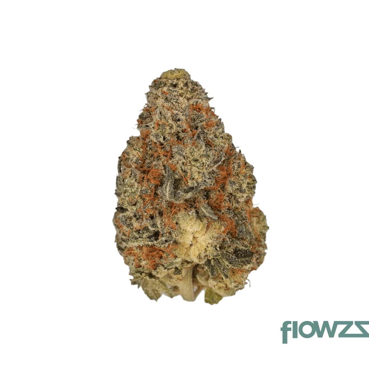 Nimbus easy 22/1 Jet Fuel Apricot 