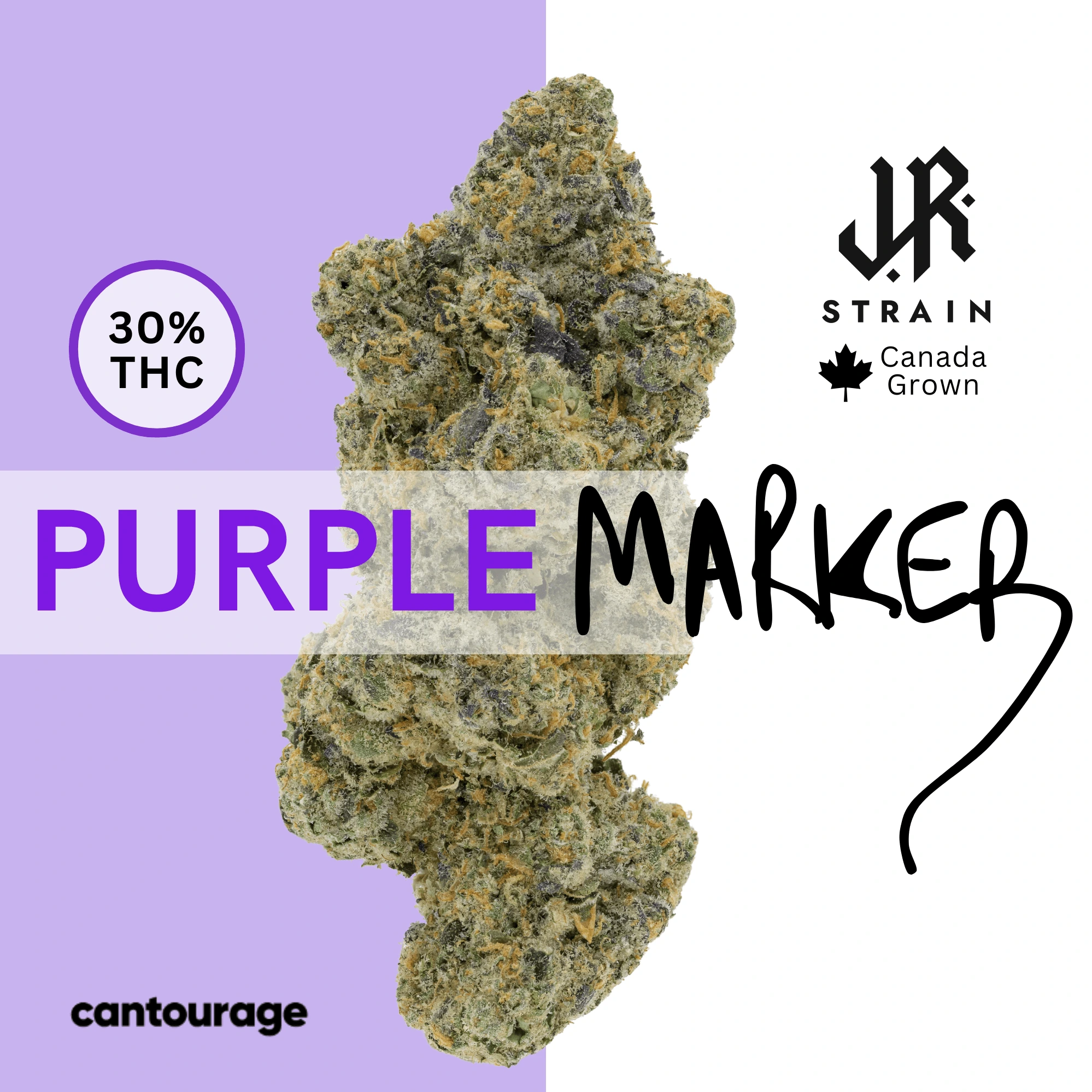 J.R. Strain PM 30/1 Purple Marker