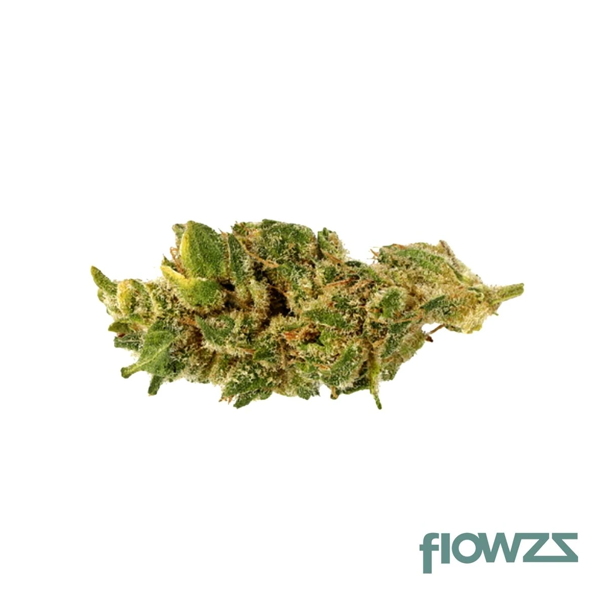 Nimbus 21/1 ZRP Zour Apple