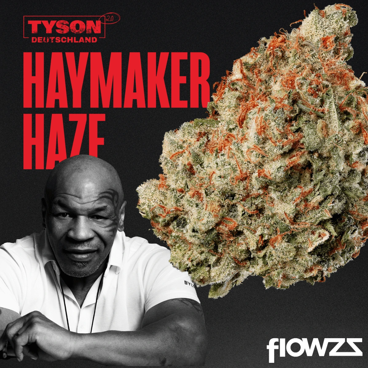 TYSON 2.0 30/1 Haymaker Haze