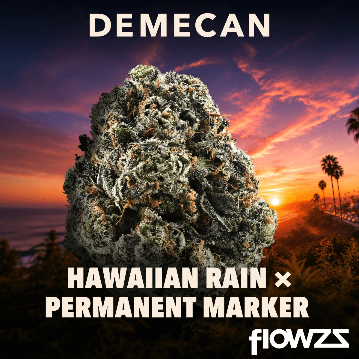 Demecan Craft Cali 29:01 Hawaiian Rain X Permanent Marker