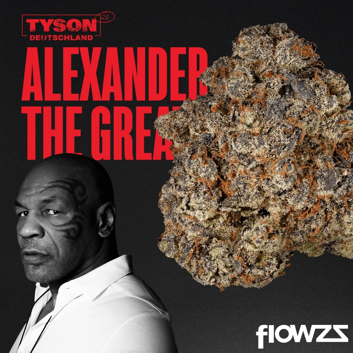 Alexander The Great Cannabis Blüte
