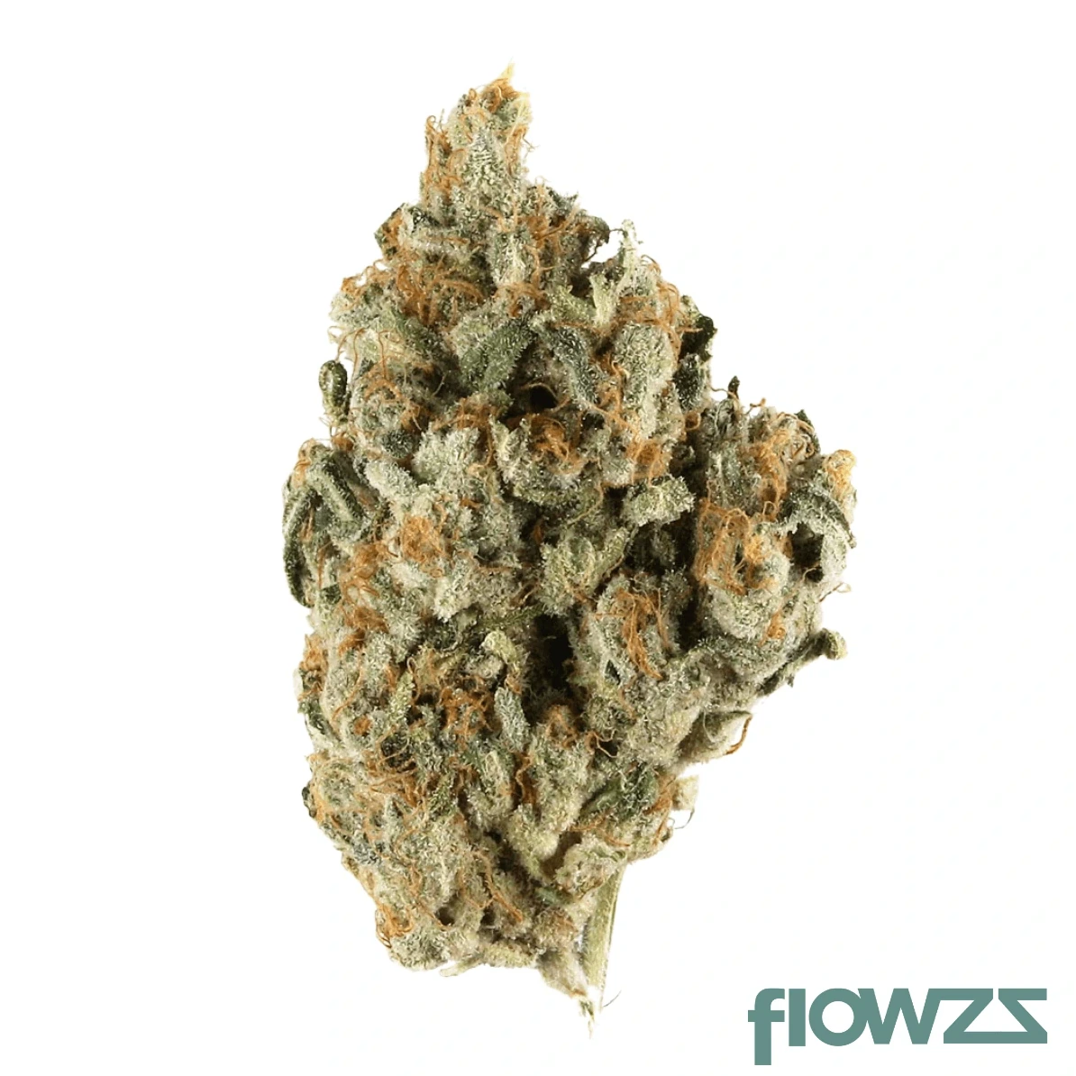 Double Z Cannabis Blüte