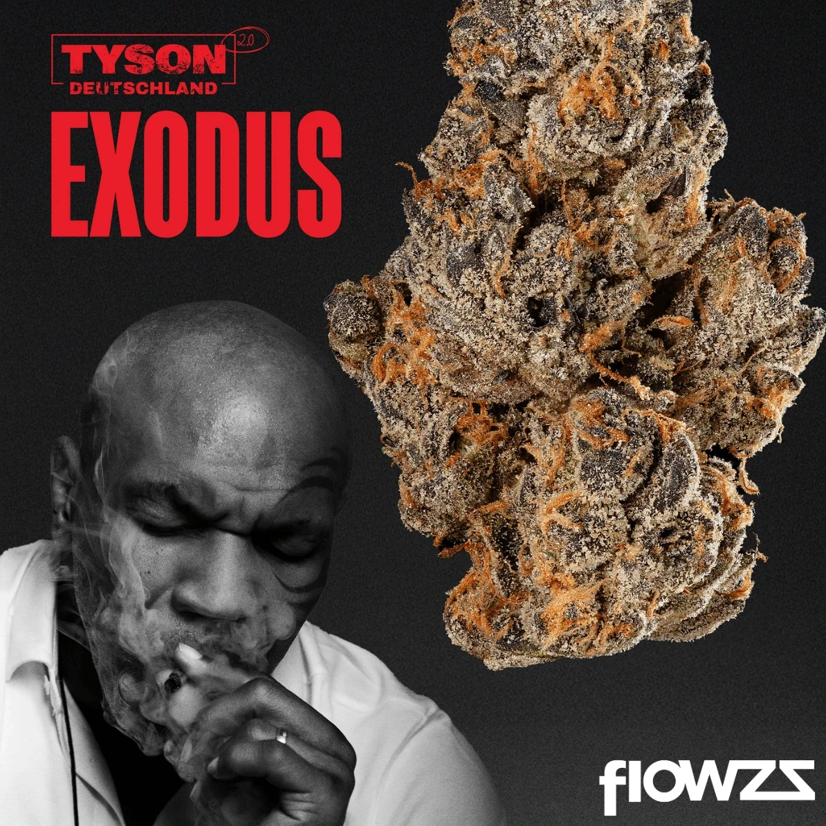 Exodus Cannabis Blüte