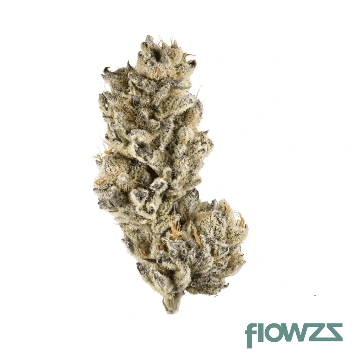 Forbidden Punch Cannabis Blüte