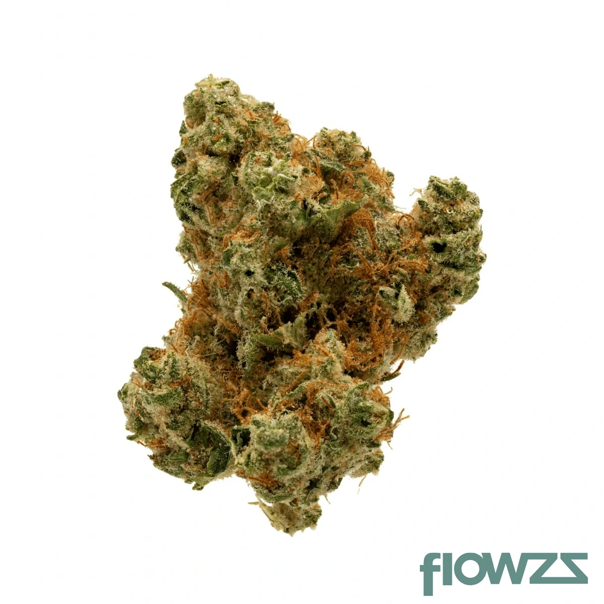 Gulf of Mexico Cannabis Blüte