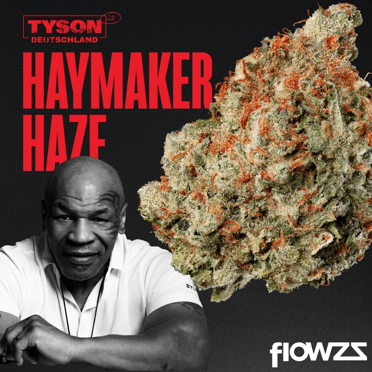 Haymaker Haze Cannabis Blüte
