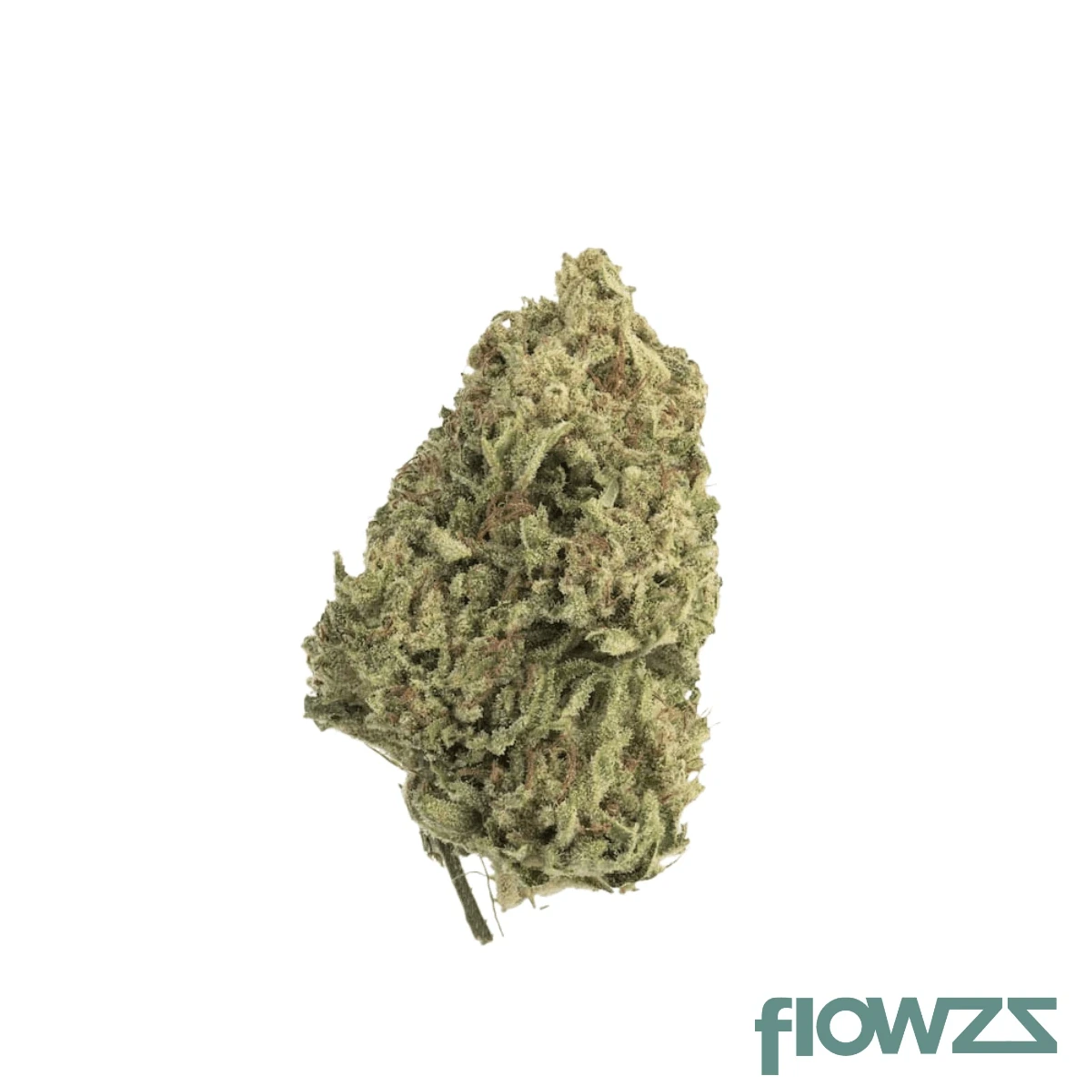 Phantasia Purp Cannabis Blüte