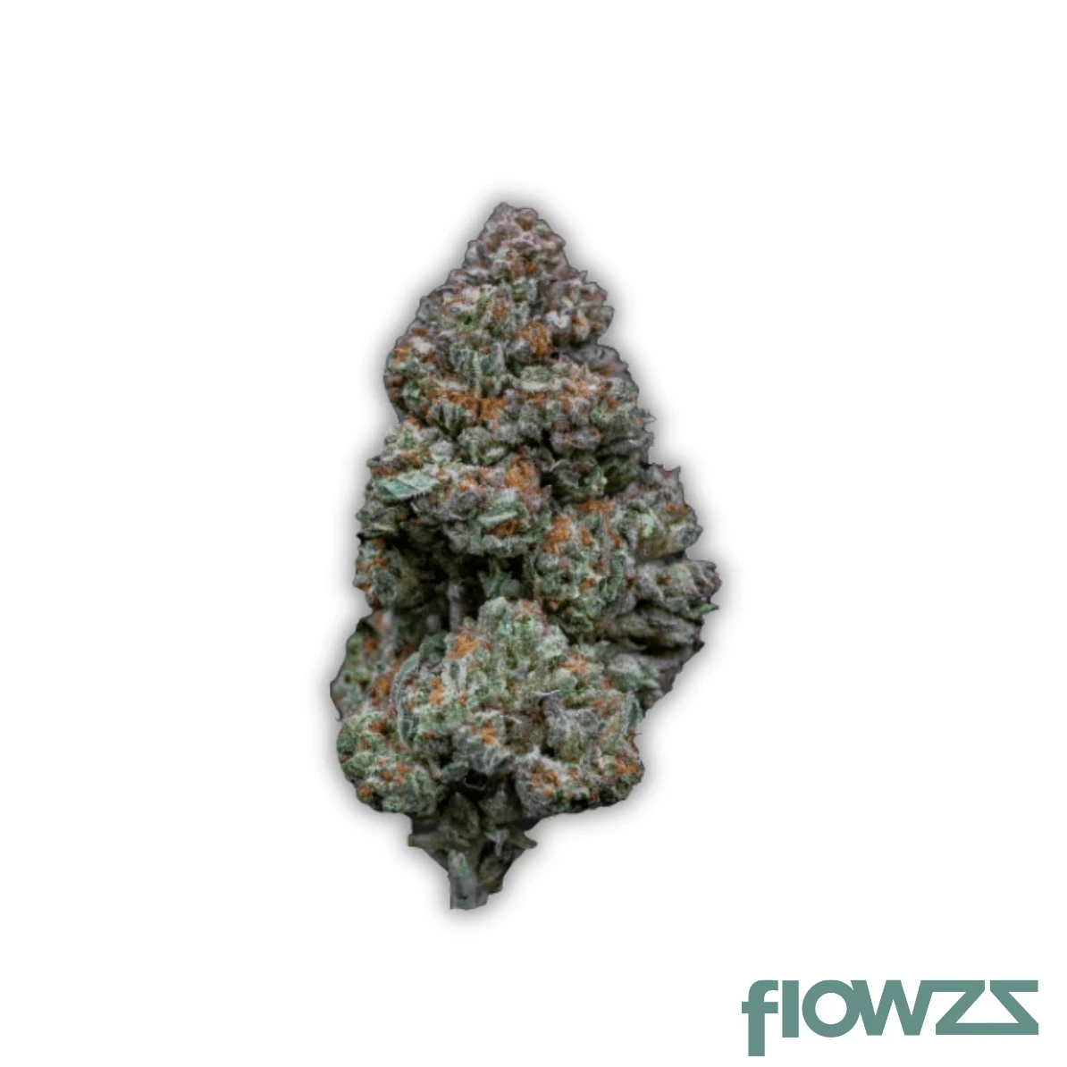 Rainbow Sherbert Cannabis Blüte