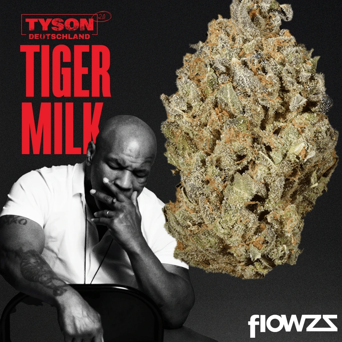 Tiger Milk Cannabis Blüte