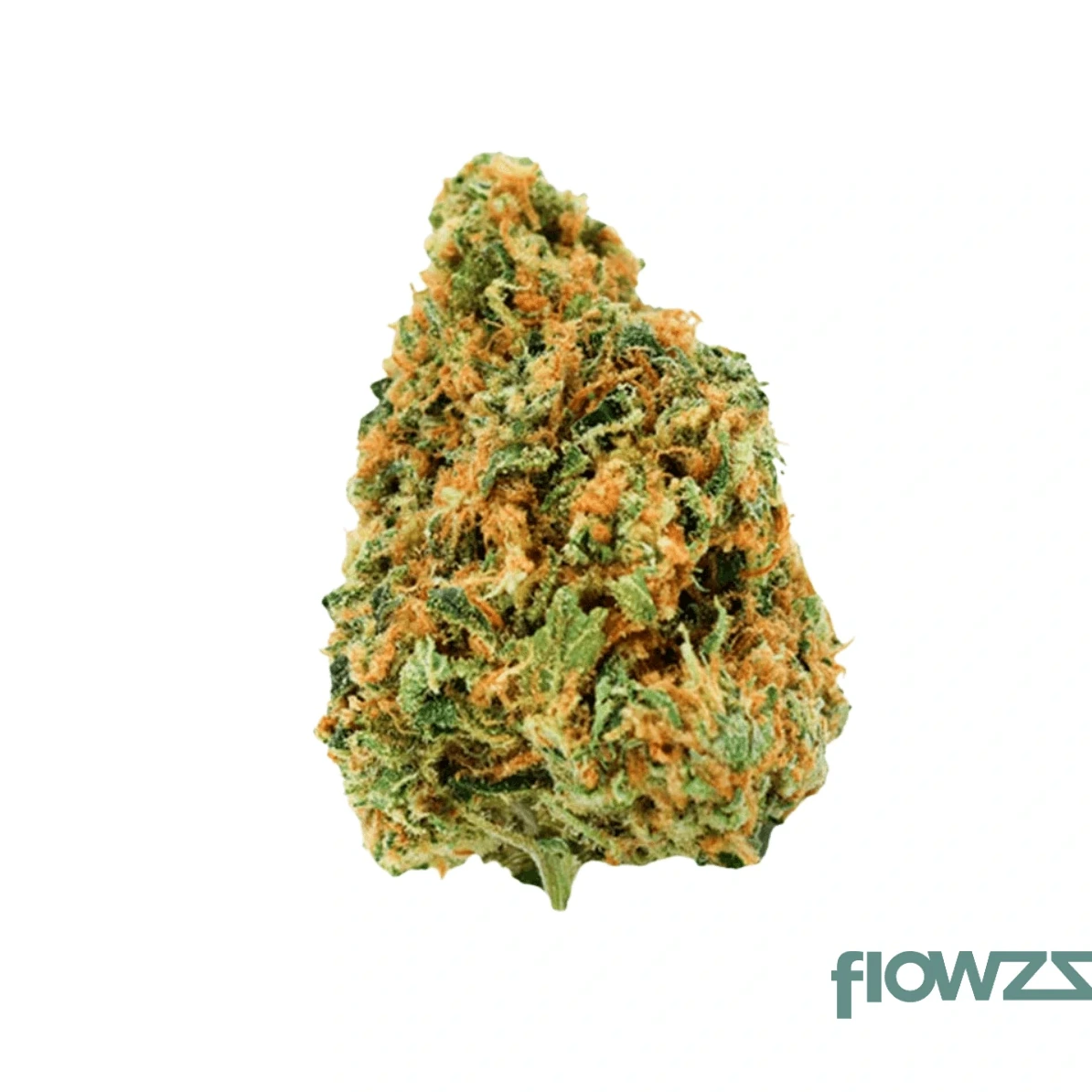 Warp Drive Cannabis Blüte