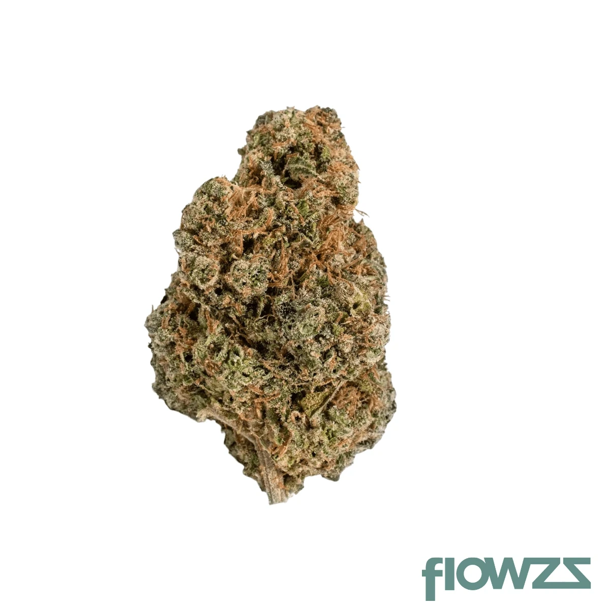 Wavedaze Cannabis Blüte